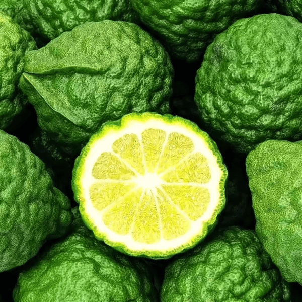 bergamot